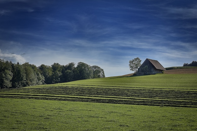 Foto gratuita panoramica di una casa isolata nel campo di erba circondata dagli alberi verdi sotto il cielo nuvoloso