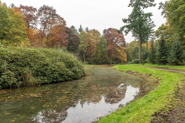 Wide shot of a lake in a park full of trees on a cloudy day