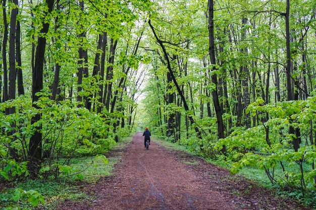Wide shot of a man riding a bicycle on a pathway in the middle of a forest full of trees