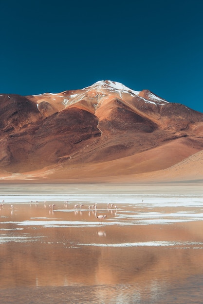 Wide shot of a mountain and a body of water in the desert on a sunny day