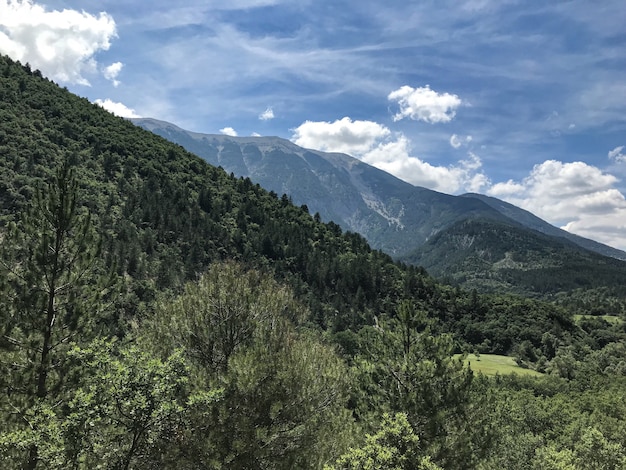 Wide shot of mountains covered with green trees under a blue sky with clouds