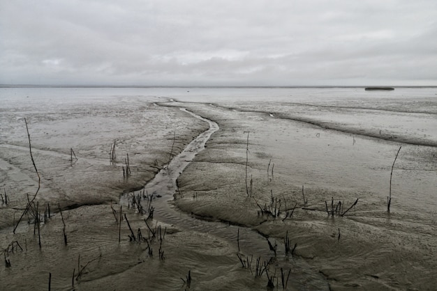 Free photo wide shot of mudflat with a cloudy gray sky