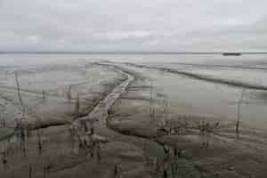 Foto gratuita ripresa a tutto campo di mudflat con un cielo grigio nuvoloso