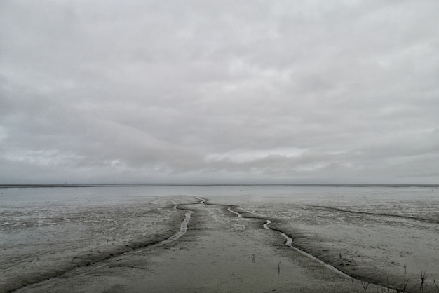 Wide shot of mudflat with a cloudy gray sky