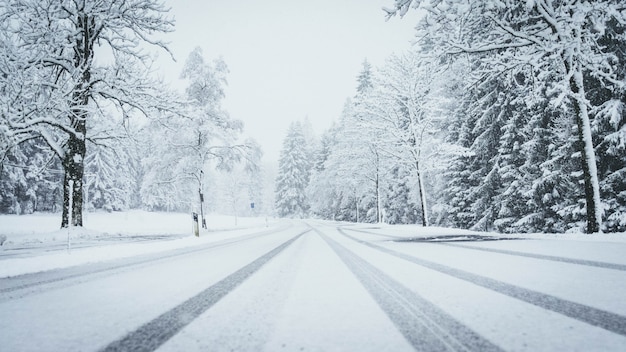 雪 写真 175 000 高画質の無料ストックフォト