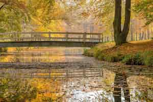 Free photo wide shot of a park with a calm lake and a bridge surrounded by  trees