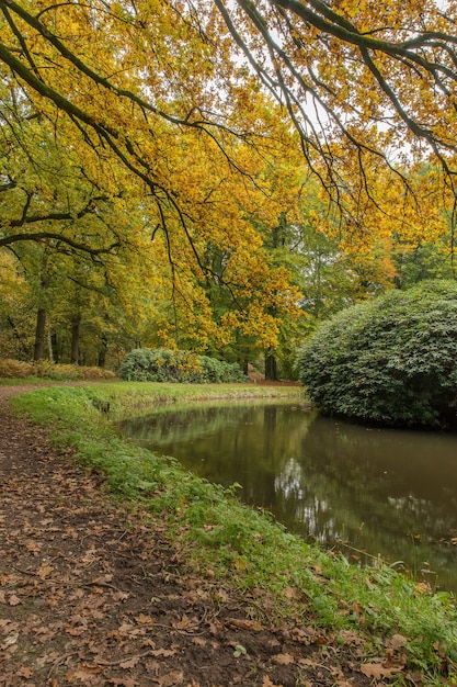 Campo lungo di un parco con un lago circondato da alberi e cespugli