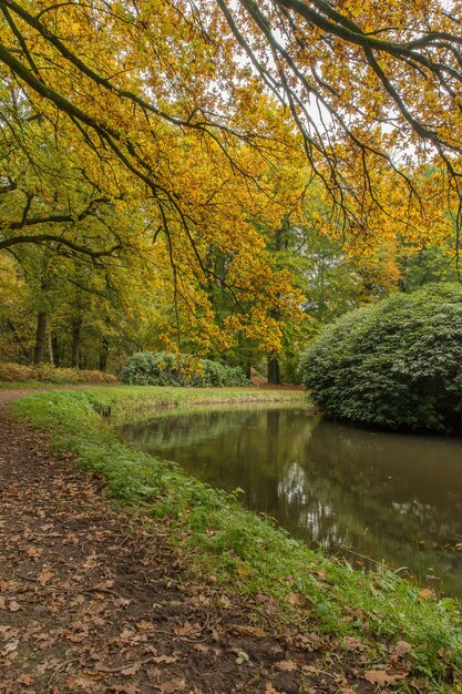 Wide shot of a park with a lake surrounded by bushes and trees