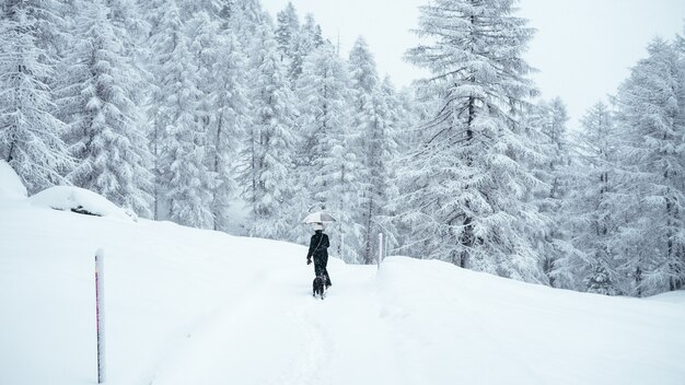 Wide shot of a person holding an umbrella walking a black dog near trees covered in snow