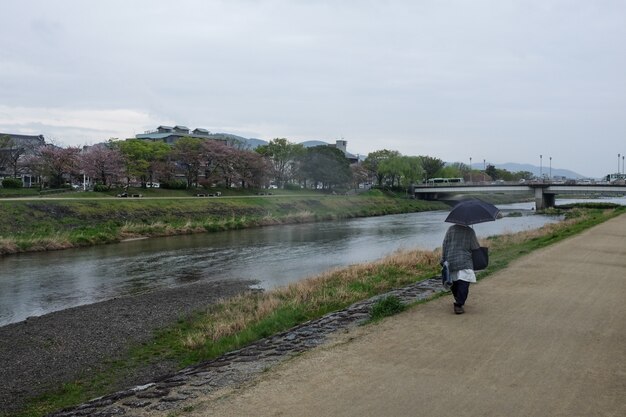 Wide shot of a person with an umbrella walks along the kamo river in kyoto, japan