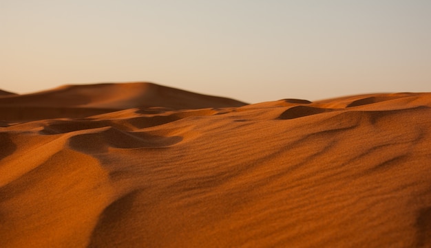 Wide shot of sandy erg desert