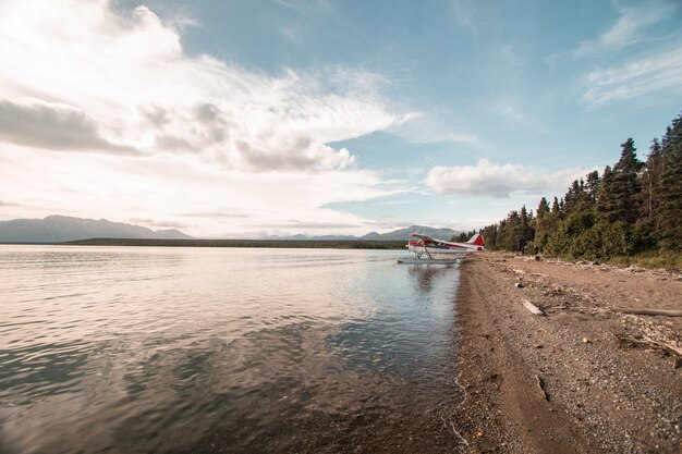 Wide shot of a seaplane on the seashore near a forest under a clear sky with white clouds