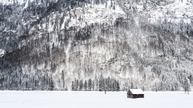 Wide shot of a small wooden cabin on a snowy surface near mountains and trees covered in snow