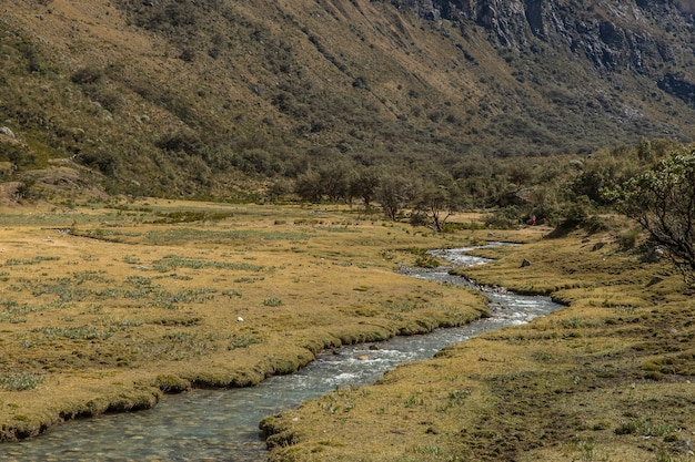 Free photo wide shot of a stream and field surrounded by trees and a big mountain