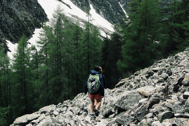 Wide shot of tourists hiking a rocky hill surrounded by green pine trees