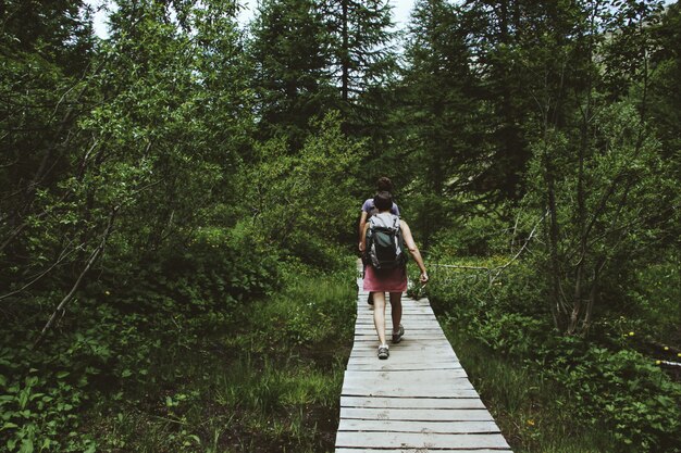 Wide shot of tourists walking a wooden pathway surrounded by green trees