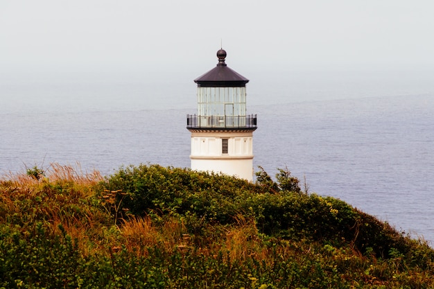 Wide shot of a white lighthouse on a cliff covered with green and orange grass by the body of water