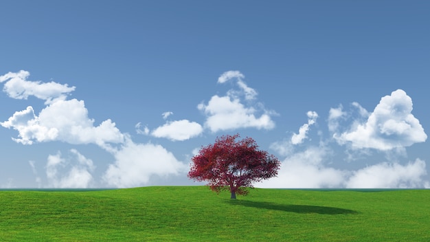 Widescreen tree landscape