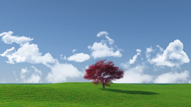 Widescreen tree landscape