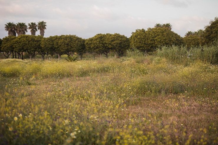 Free Photo wild flowers and green tree landscape