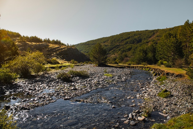 Fiume roccioso selvaggio