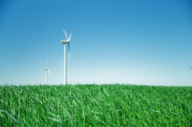 Wind fan in a field