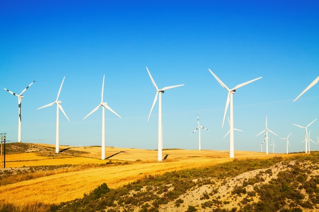 Wind farm at farmland in summer