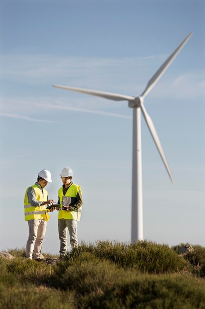 Wind farms fields