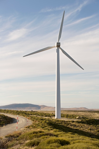 Wind farms fields