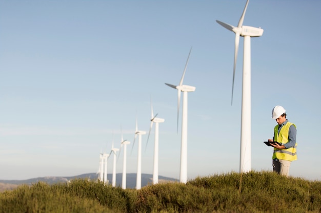 Wind farms fields