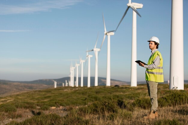 Wind farms fields