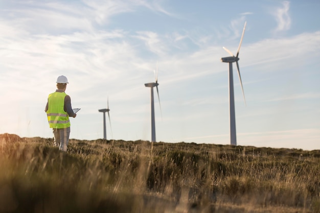 Wind farms fields