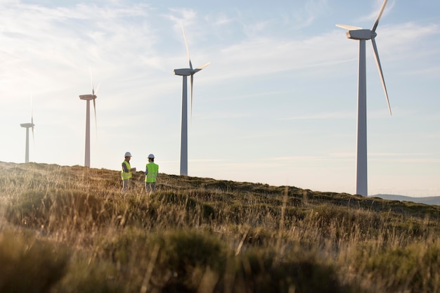 Wind farms fields