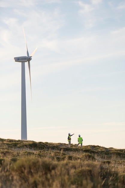 Wind farms fields