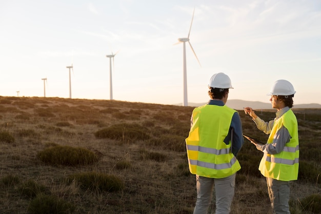 Wind farms fields