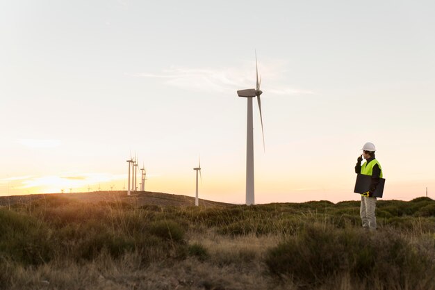 Wind farms fields