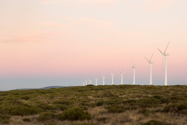 Wind farms fields