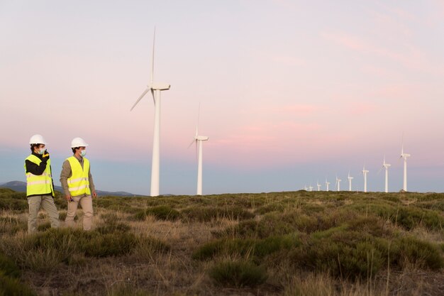 Wind farms fields