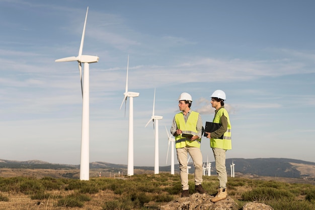 Wind farms fields