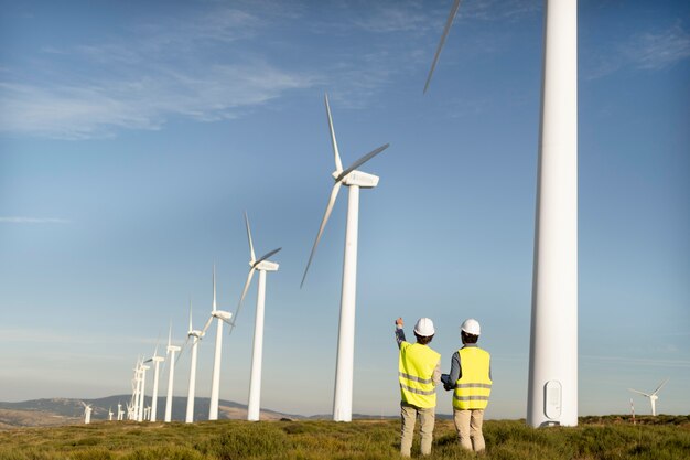 Wind farms fields