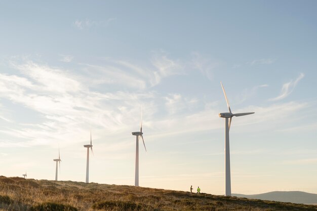 Wind farms fields