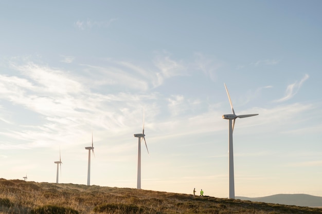 Wind farms fields