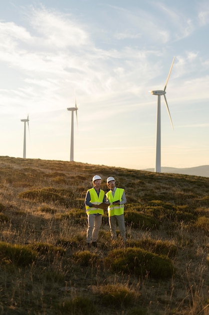 Wind farms fields