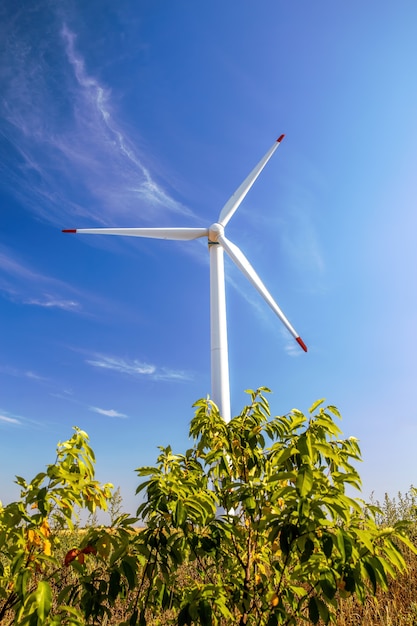 Wind turbine shot from below, grass and bush in Moldova