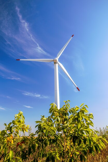 Wind turbine shot from below, grass and bush in Moldova