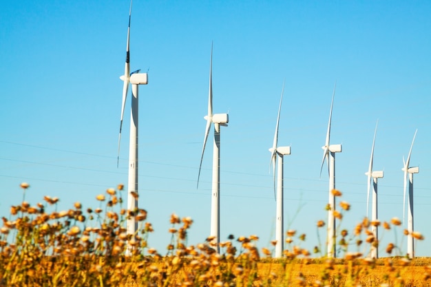 Wind Turbines at farmland