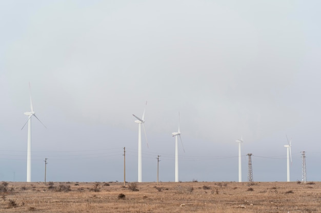 Wind turbines in the field generating energy