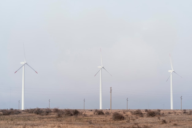 Wind turbines in the field generating energy