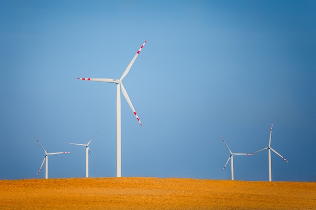 Wind turbines on a field