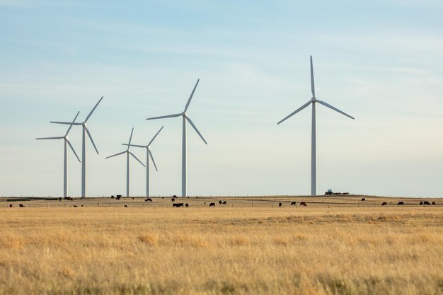 Windfarm in Northern Colorado.